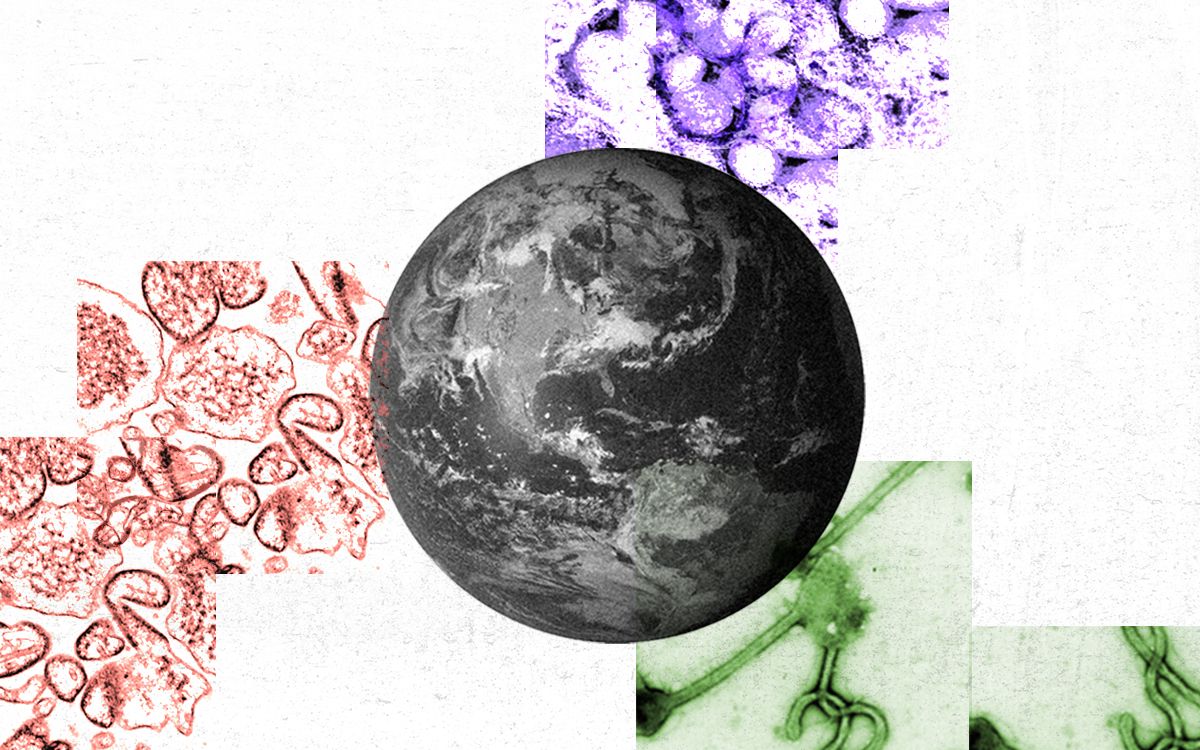 what will cause the next pandemic