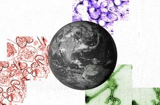 what will cause the next pandemic