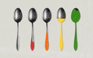 what is spoon theory