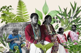 are indigenous languages in india dying