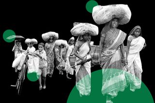 state of india's forests
