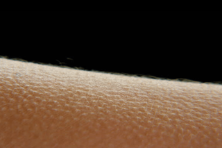 why music, art gives you skingasms