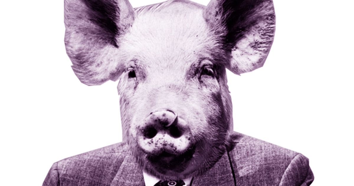 The Revolutionary Origins of the Term ‘Male Chauvinist Pig’ The Swaddle
