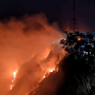 India forest fire