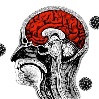 does covid19 infect brain