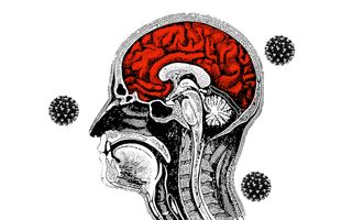 does covid19 infect brain