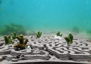 3D printing coral reef