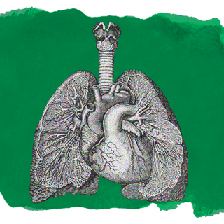 does air pollution cause lung cancer