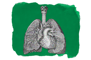 does air pollution cause lung cancer