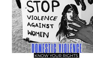 domestic violence laws in india