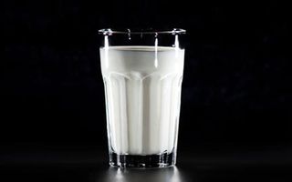 should humans drink milk