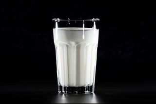 should humans drink milk