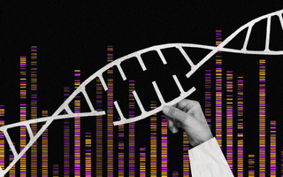 complete human genome sequence