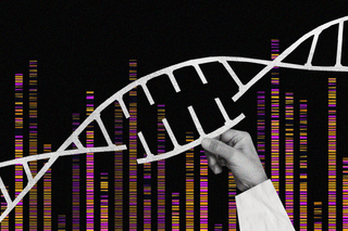 complete human genome sequence