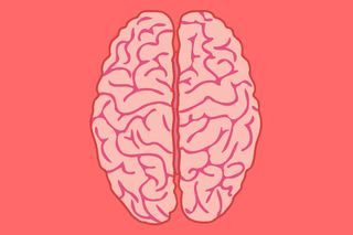 long term memory