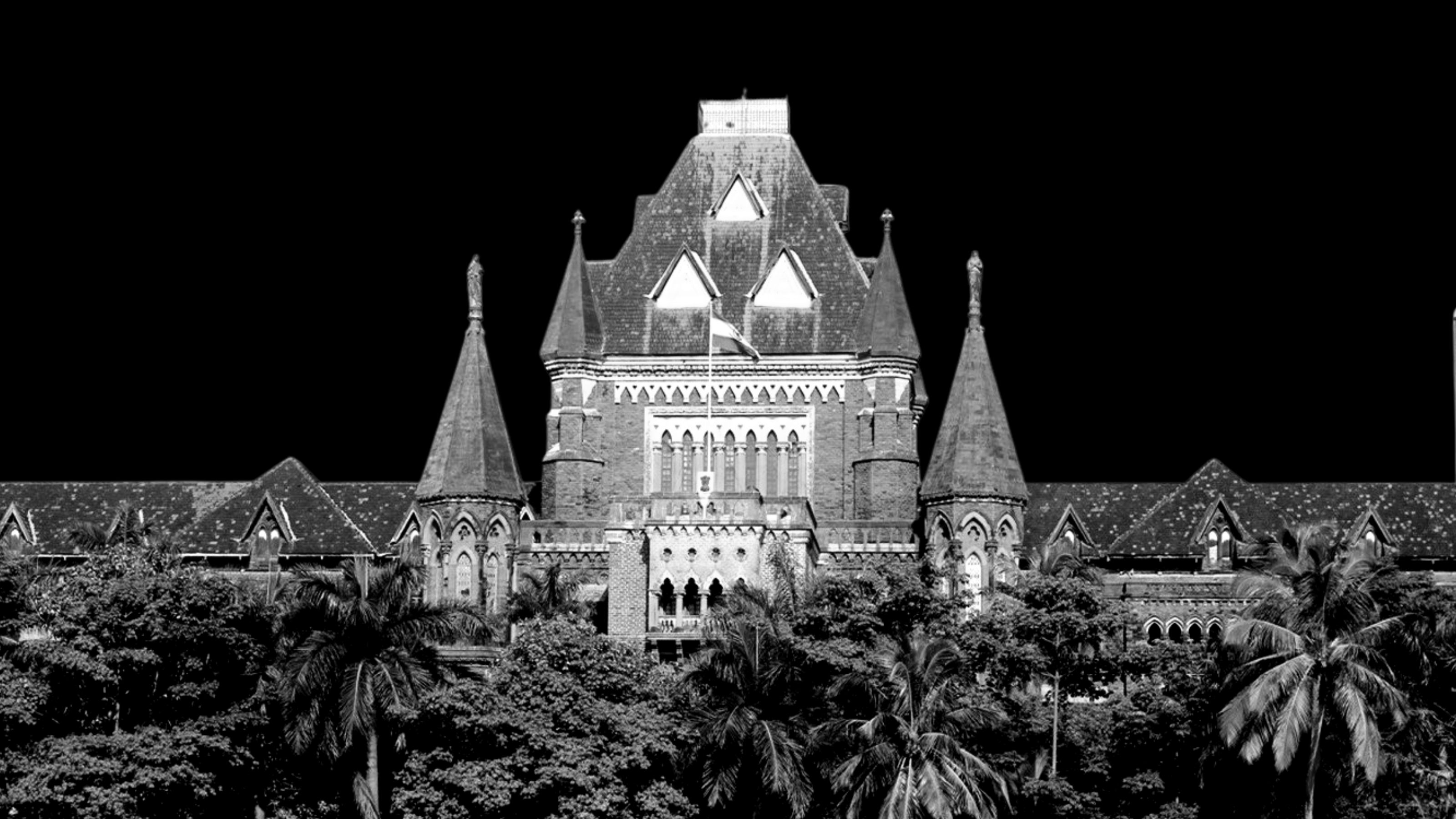 can transgender people contest elections in india