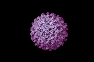 what is hepatitis b
