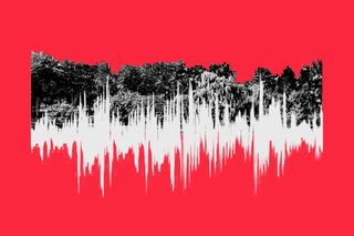 natural soundscapes