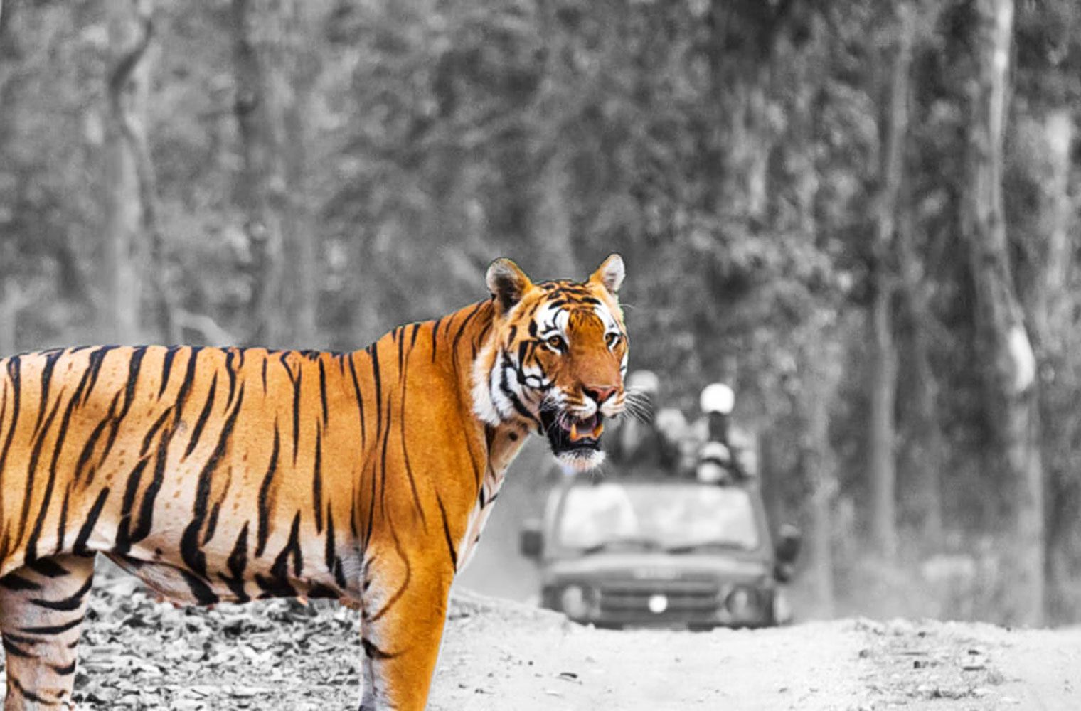 encroachment in environmentally sensitive areas