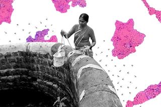 lymphatic filariasis India