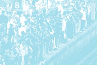 overpopulation
