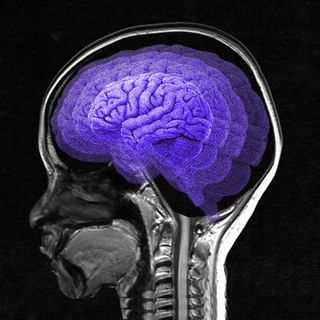 anorexia affecting brain size