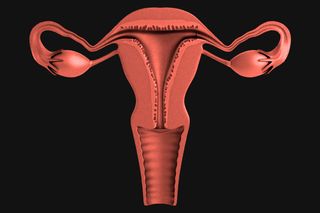 what is ivf