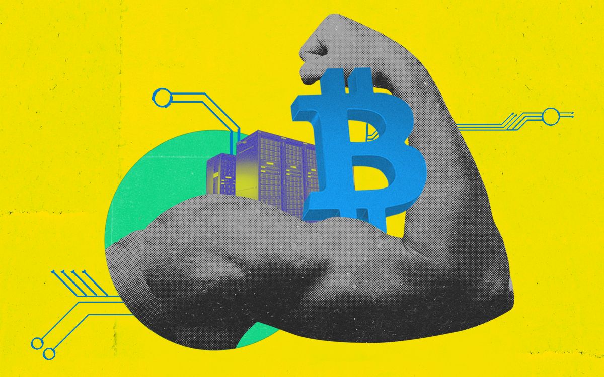 Aaron Swartz, Who Championed a Free Internet, Died by Suicide 10 Years Ago.  His Legacy Remains Vital. | The Swaddle