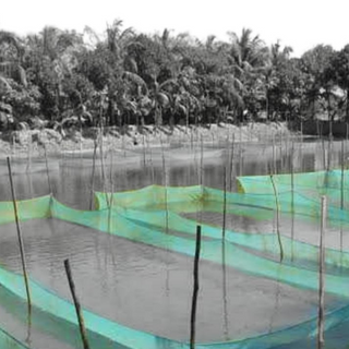 fish-farms-min.jpg