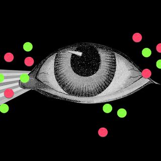 pupil response numerosity