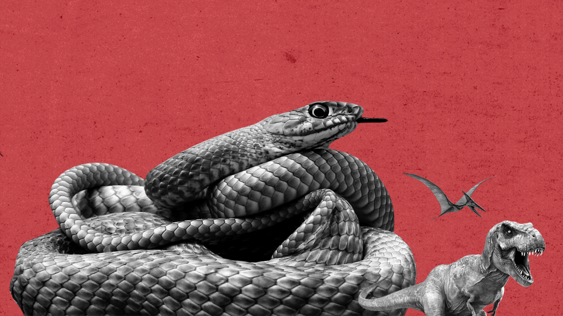 snakes took over dinosaurs