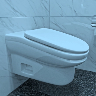 toilet redesign