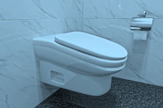 toilet redesign