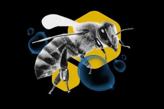 why bumblebees are fish in california