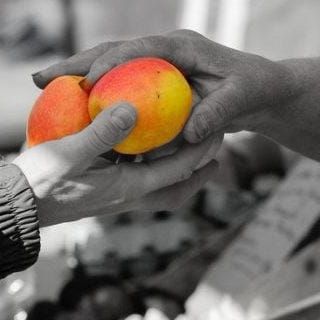 fiji samoa barter covid19 lockdown