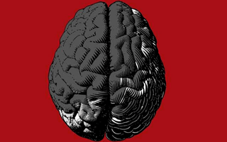 brain and social punishment