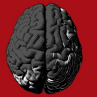 brain and social punishment