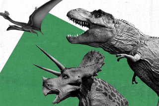 love for dinosaurs