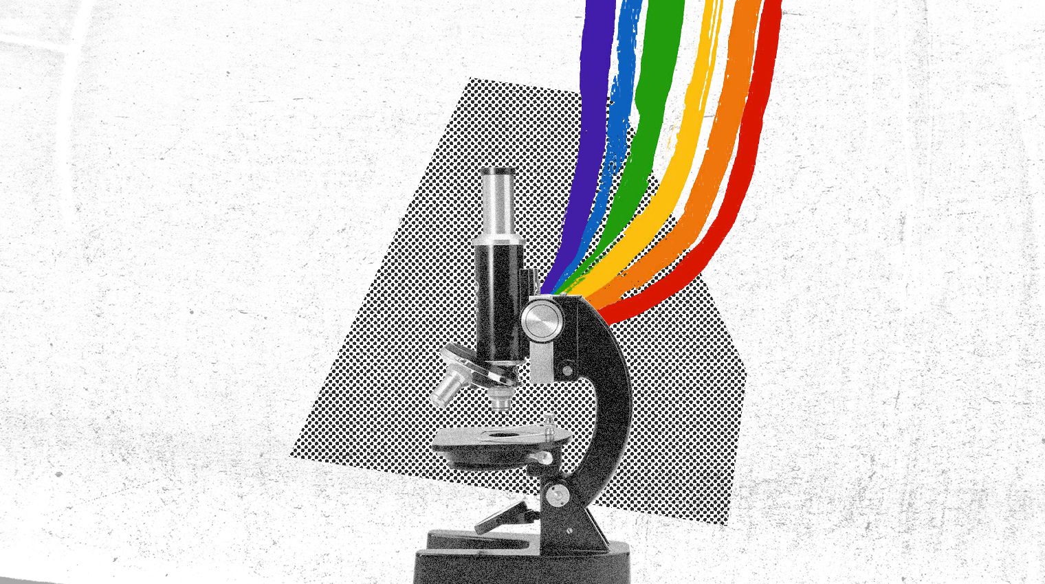 sexual orientation gap STEM