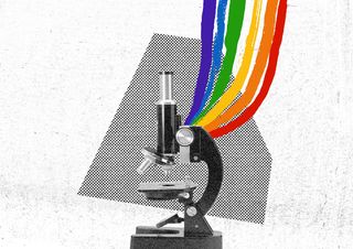sexual orientation gap STEM