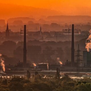 air pollution newborns