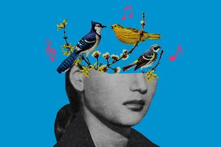birdsong anxiety