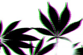 can cannabinoids help mental health