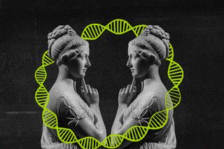 Duplicate DNA
