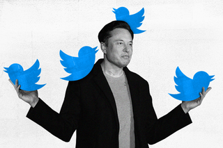 elon musk twitter share