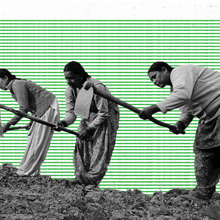 surge in unpaid women's labor in india