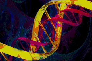 molar pregnancy genetics
