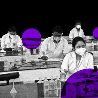 STEM students