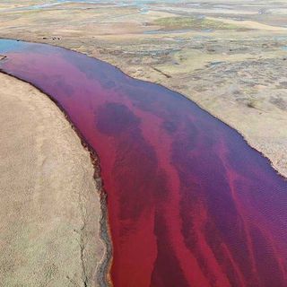 oil spill russia