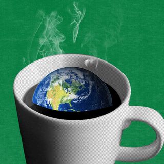 Coffee climate change